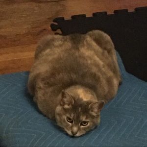 Meet your Posher, Megan